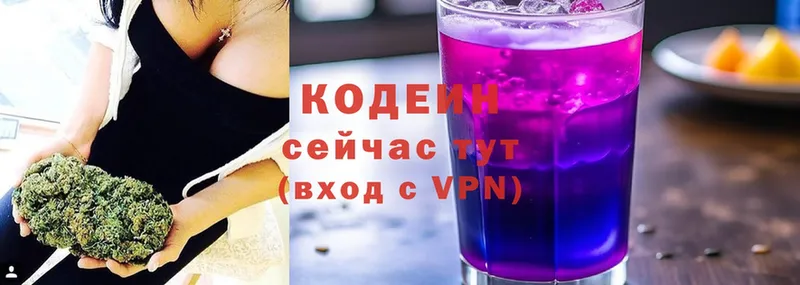 Кодеиновый сироп Lean Purple Drank  Кадников 