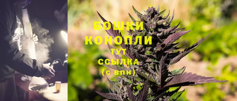 Шишки марихуана OG Kush  Кадников 